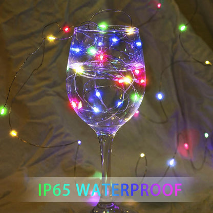 Skiennix 20 LED Fairy String Lights - 7Ft Waterproof Twinkle Lights for Weddings & Parties | Multicolor