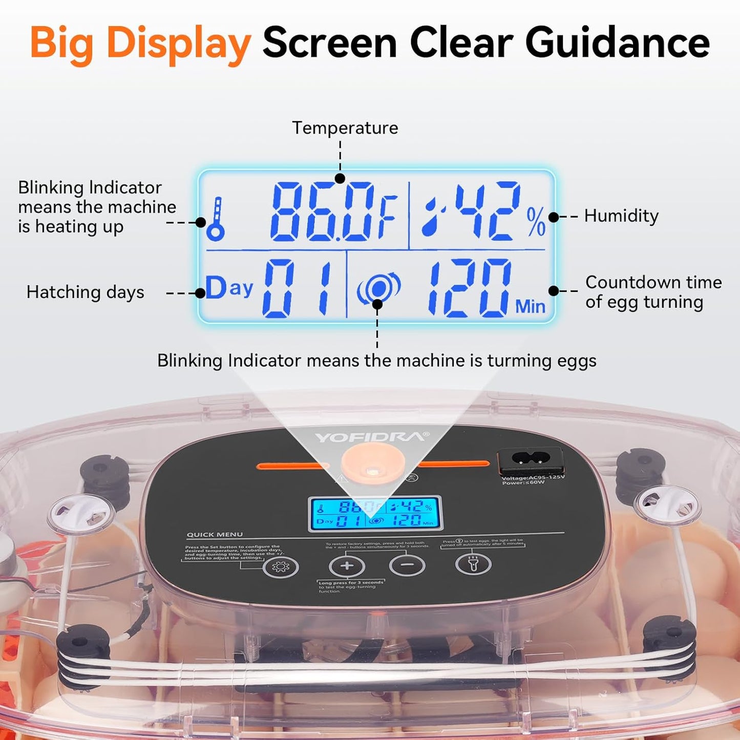24 360Viewing Incubators for Hatching Eggs, Egg Incubator, Automatic Egg Turner with Humidity Control & Digital