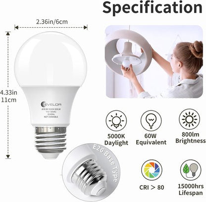 Evelor A19 LED Light Bulbs - 6-Pack Daylight 5000K, 60W Equivalent, 800 Lumens, E26 Base, 15,000 Hours