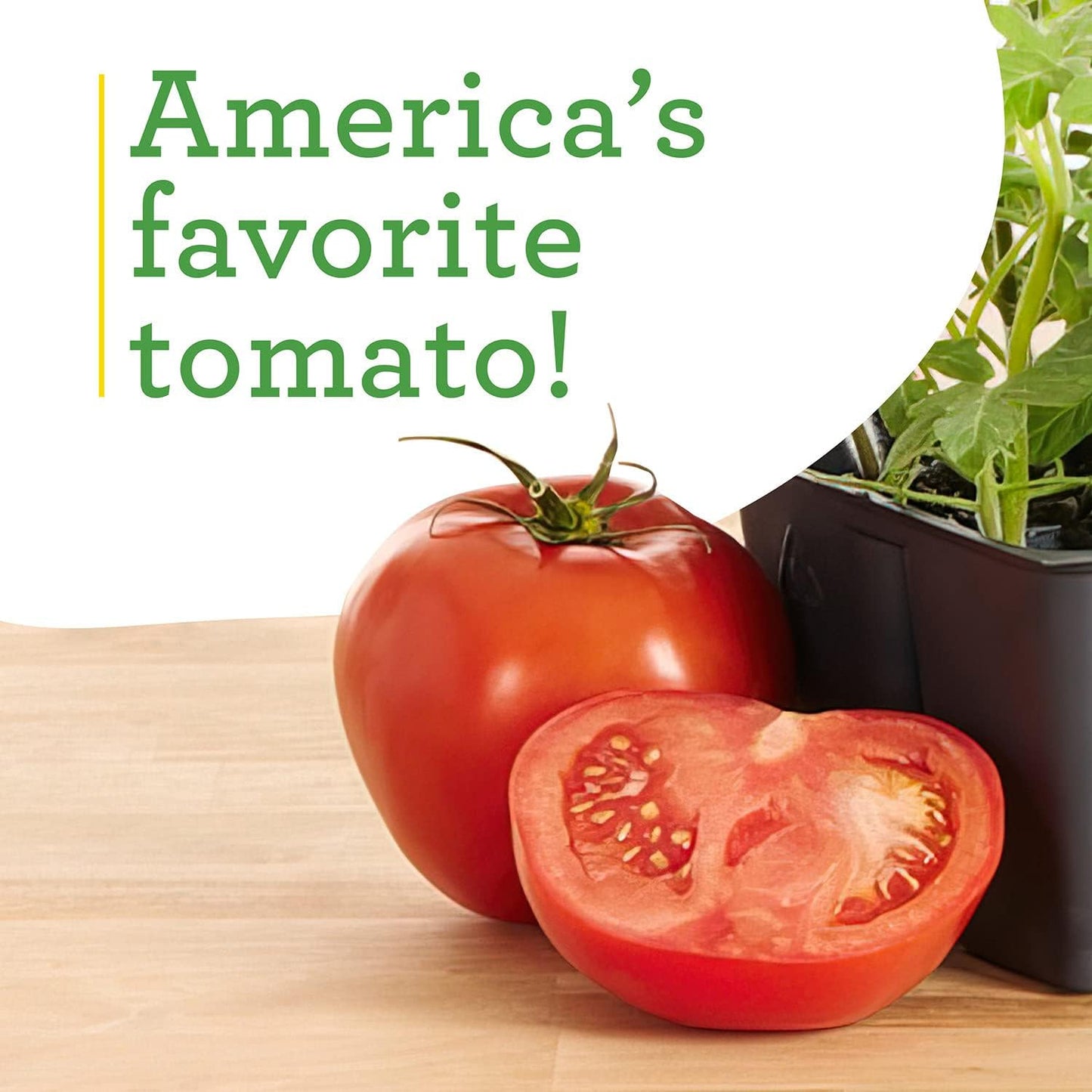 4 Pack 16 oz Bonnie Plants Better Boy Tomato: Live Vegetable Plants, Disease Resistant, Large Fruit Size, Non-GMO, Red