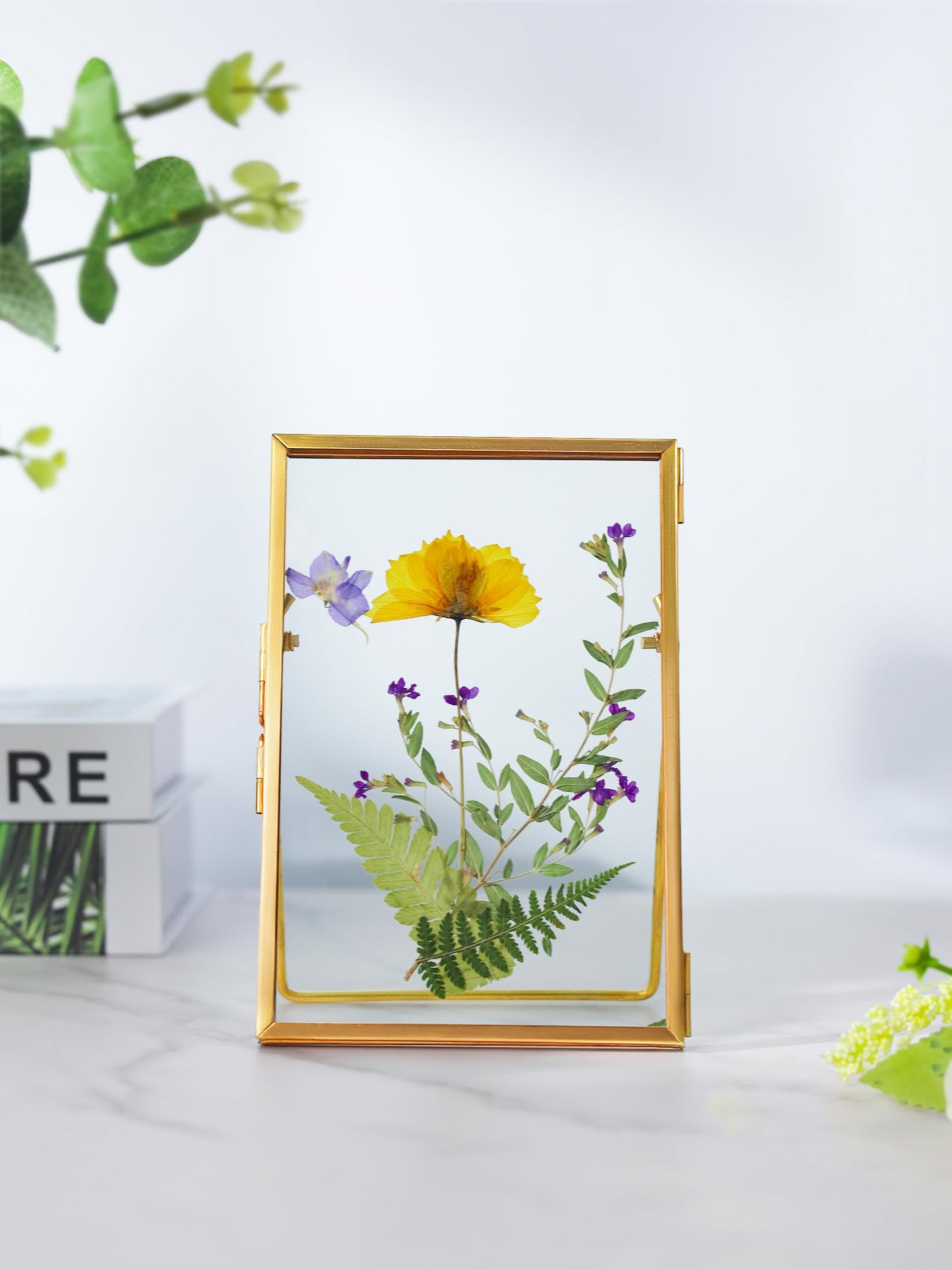 REDHUGO Glass Pressed Flower Frame Handmade, Floating Picture Frames for Pressed Flowers, Tabletop Artwork Photo Frames, Brass Desk Picture Frame for Home Office Plant Specimen, Gold, 4x6 Inches