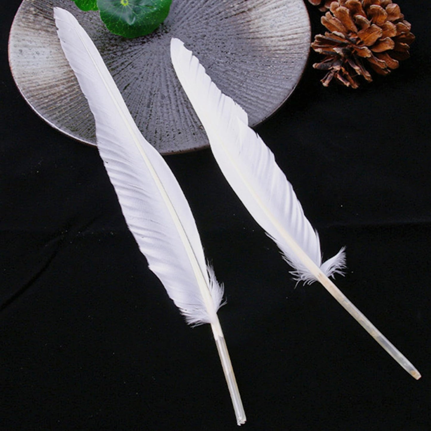 Natural Goose Feathers,Bulk 50 pcs Long 10-12Inch (25-30cm) White Feathers for Crafts,Mardi Gras Decorations,Angel Wings,DIY Handicrafts,Feather Decoration Accessories (Pure White)