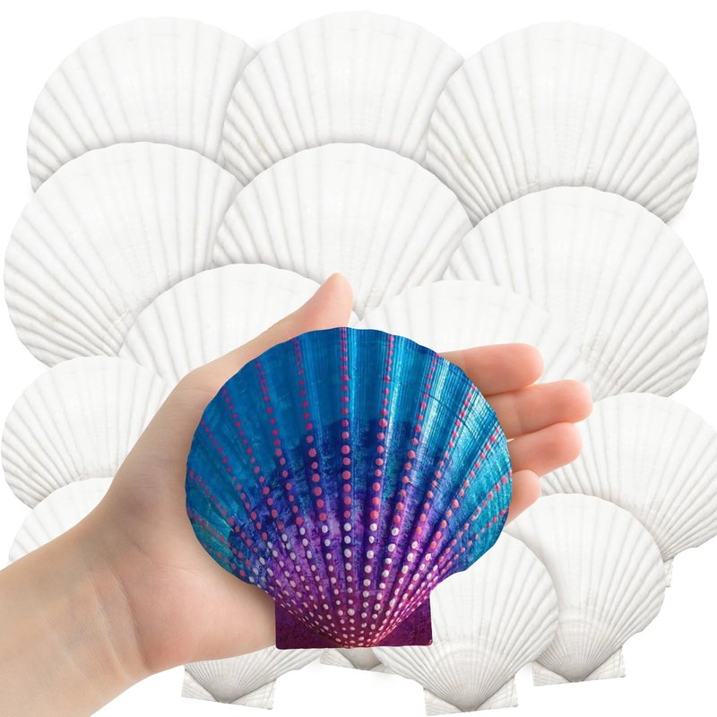 YUJUN 18PCS Large Natural Scallop Shells,2''-3'' 4''-5'' White Seashells Bulk for Crafts DIY Painting Baking and Ocean Summer Beach Wedding Home Decorations(2 Sizes Range)