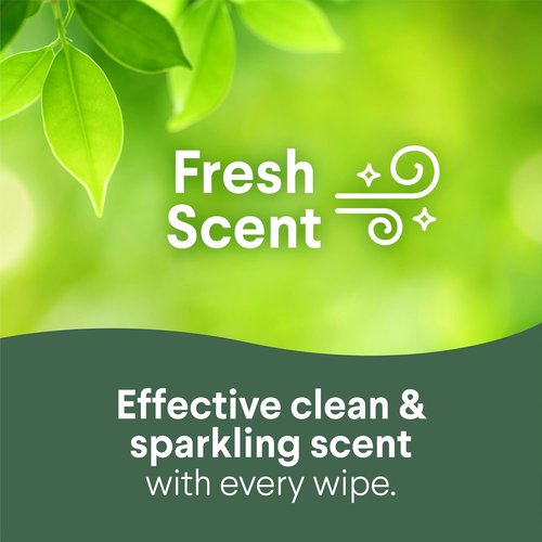 Clorox Disinfecting Cleaning Wipes - Bleach-Free Fresh Scent & Crisp Lemon | 75 Count, Pack of 2