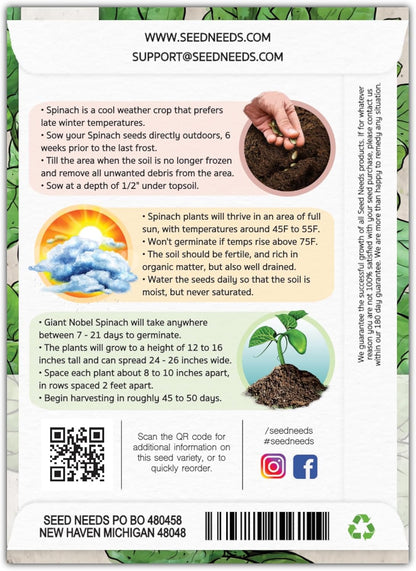 250 (5 Packs) Seed Needs, Giant Noble Spinach Seeds - Heirloom Seeds for Planting Spinacia oleracea - Make Your Own