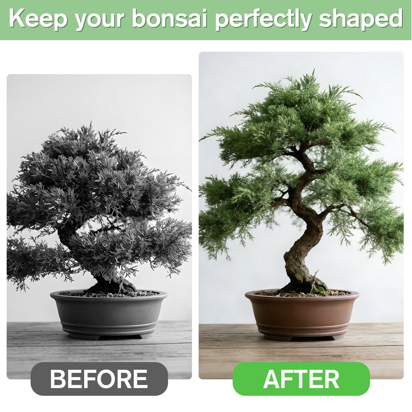 Little pot friend Bonsai Wire Kit, 147 Feet Total 5 Sizes Aluminum Plant Wire for Bonsai Training, Essential Bonsai Tools