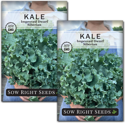 Packet (2) Sow Right Seeds - Dwarf Siberian Improved Kale Seed for Planting - Non-GMO Heirloom with Instructions
