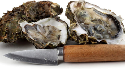 Commercial Grade Oyster Shucking Knife with Ergonomic Grip and Wood Handle, 2.5T Stainless Steel for Home and Outdoor