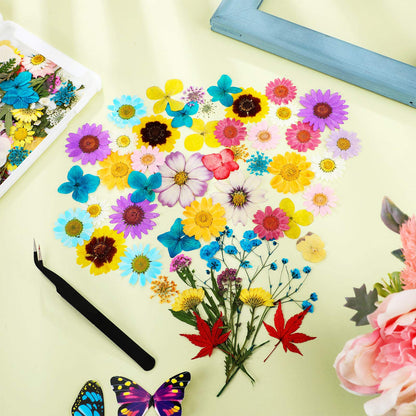 110 Pcs Dried Pressed Flowers for Resin, Real Dry Daisy Flowers and Leaves Bulk with Tweezers and Box Set, Art Crafts Resin Jewelry Making Scrapbook DIY Supplies Card, Soap, Candle Making, Nail Decor