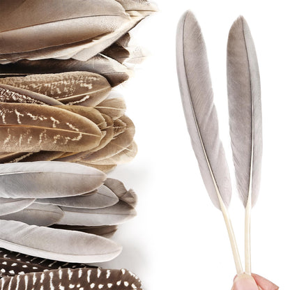iHUFeather 120pcs Natural Pheasant Feathers Bulk Spotted Feathers 10 Styles Mixed Feathers for Crafts DIY Hat Floral Arrangements Wedding Home Decorations