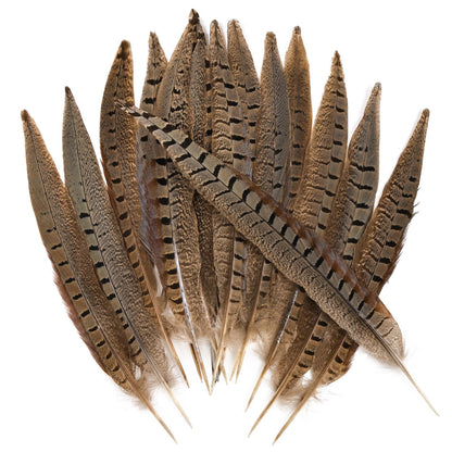 THARAHT 24pcs Male Ringneck Pheasant Tails Feathers Natural Feathers 8-10inch 20-25cm for Crafts Home Wedding Party Performance DIY Decoration Male Pheasant Feathers