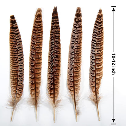 THARAHT 24pcs Female Ringneck Pheasant Tails Feathers Natural Feathers 10-12inch 25-30cm for Crafts Home Wedding Party Performance DIY Decoration Female Pheasant Feathers