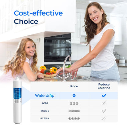 Waterdrop H-300 Under Sink Water Filter, Replacement Cartridge for Everpure H-300, H-300-NXT, 7CB5, EV9270-71, EV9270-72, EV9618-11, EV9855-50, EV9282-01, 24000 Gallons, Pack of 1