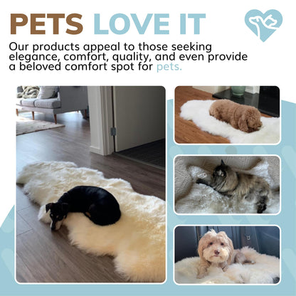 WaySoft New Zealand Sheepskin Area Rug – Genuine Fluffy Wool, Multiple Sizes, Bedroom or Living Room Decor(4ft x 6ft,Grey Beige)