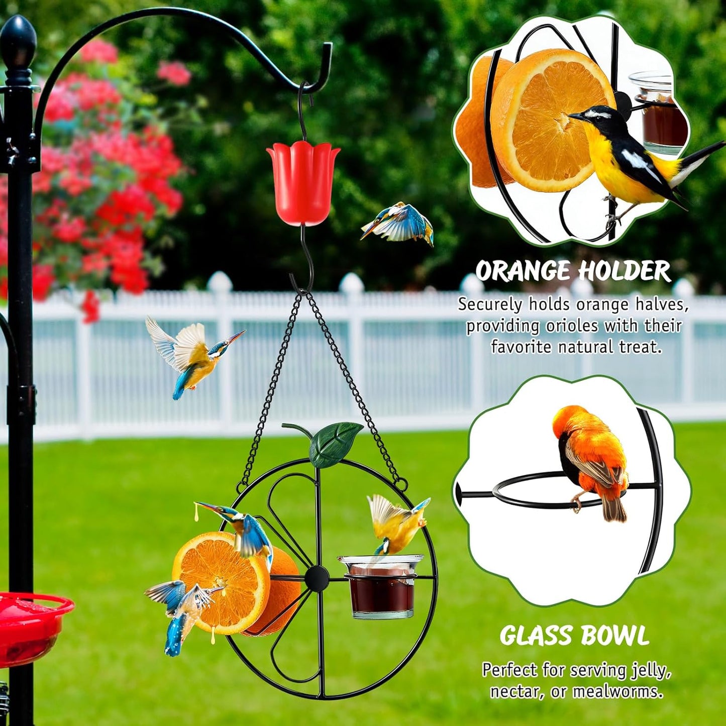 Dunkive Halves(Black,1 Pack) Baltimore Oriole Bird Feeder for Outdoors Oriole Feeder with Ant Moat & Glass Bowl & Ant