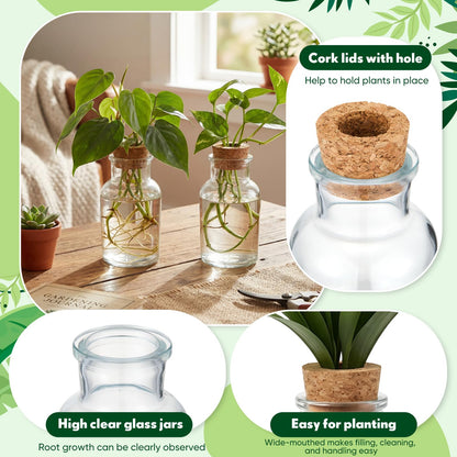 Acellegic 12 Pack Glass Plant Propagation Stations, Hydroponic Vases Tabletop Plant Terrarium Jar for Indoor Flower Arrangements Glass Planter Kitchen Office Decoration Gifts(Cylindrical)