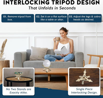Alternative Imagination Wooden Tripod Display Stand - 6-Inch Hand Carved Holder from Mango Wood for Abalone Shell,