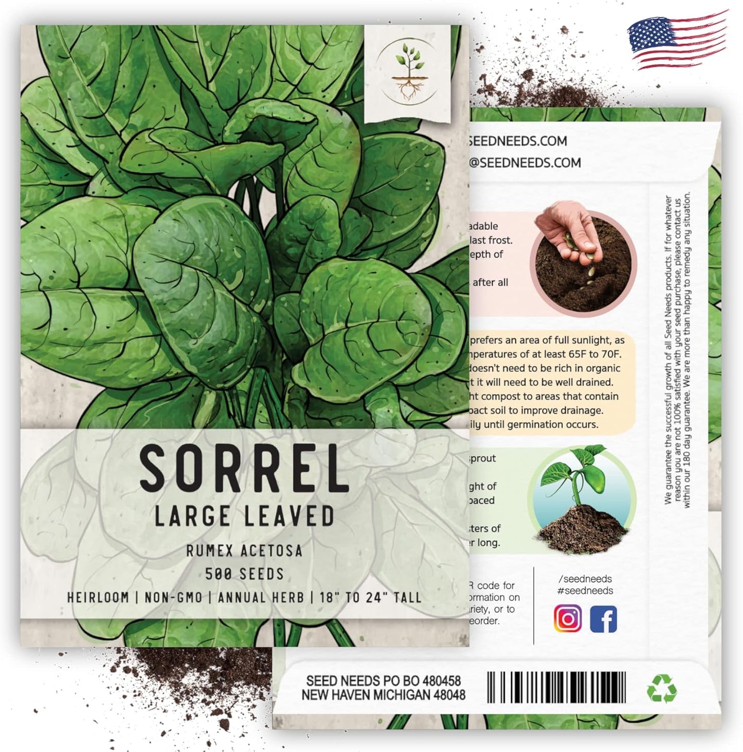(1 Pack) Seed Needs Large Leaf Sorrel Seeds for Planting - Heirloom Non-GMO & Untreated Medicinal or Culinary Herb