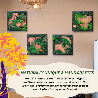 Serenzy 12" Square Cedar & Preserved Moss Wall Art | Unique No-Maintenance Decor for Home, Office, Restaurant, Natural Scattered Wood