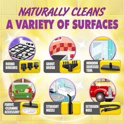 Natural Multi-Surface Handheld Steam Cleaner with 10 Accessories, 13.5OZ Pressurized Multipurpose On Demand Steam Cleaner for Home, Steamer for Cleaning Dirt, Grease, Grout, Tile, Windows, Couch, Car
