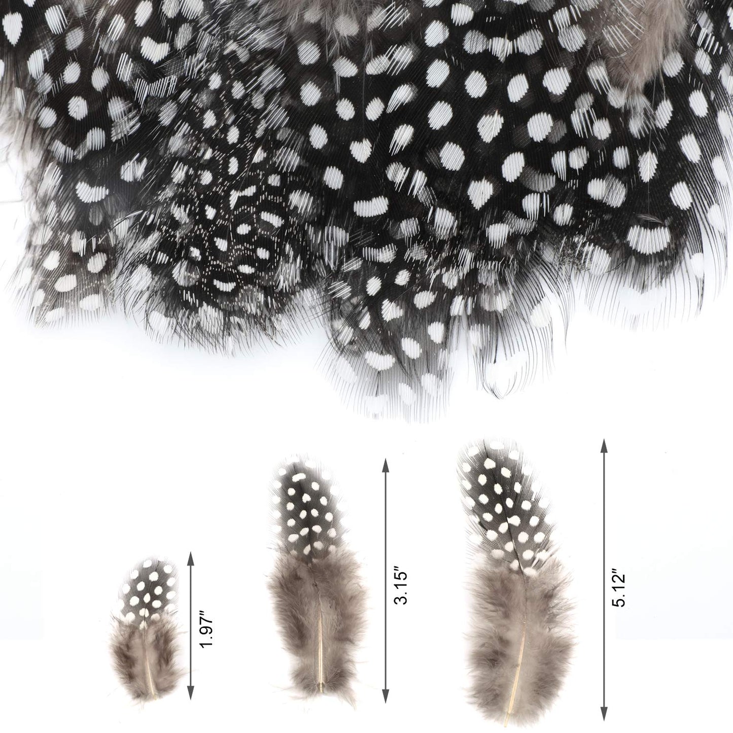 MWOOT 300PCS Spotted Chicken Feathers Natural Pheasant Plumage Feathers for DIY Crafts, Clothing, Jewelry, Wedding, Birthday Party, Dream Catcher Decoration