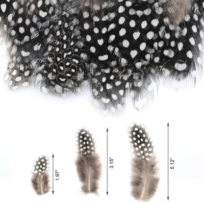 MWOOT 300PCS Spotted Chicken Feathers Natural Pheasant Plumage Feathers for DIY Crafts, Clothing, Jewelry, Wedding, Birthday Party, Dream Catcher Decoration