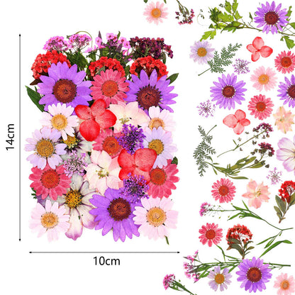 110 Pcs Dried Pressed Flowers for Resin, Real Dry Daisy Flowers and Leaves Bulk with Tweezers and Box Set, Art Crafts Resin Jewelry Making Scrapbook DIY Supplies Card, Soap, Candle Making, Nail Decor
