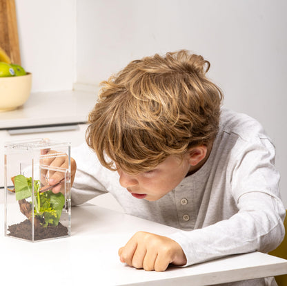 EctoTherm Jumping Spider Enclosure - Complete Acrylic Terrarium Habitat for Spiders, Tarantulas, Praying Mantis - Small Spider House with Front Opening Door - Bug Enclosure for Arboreal Species