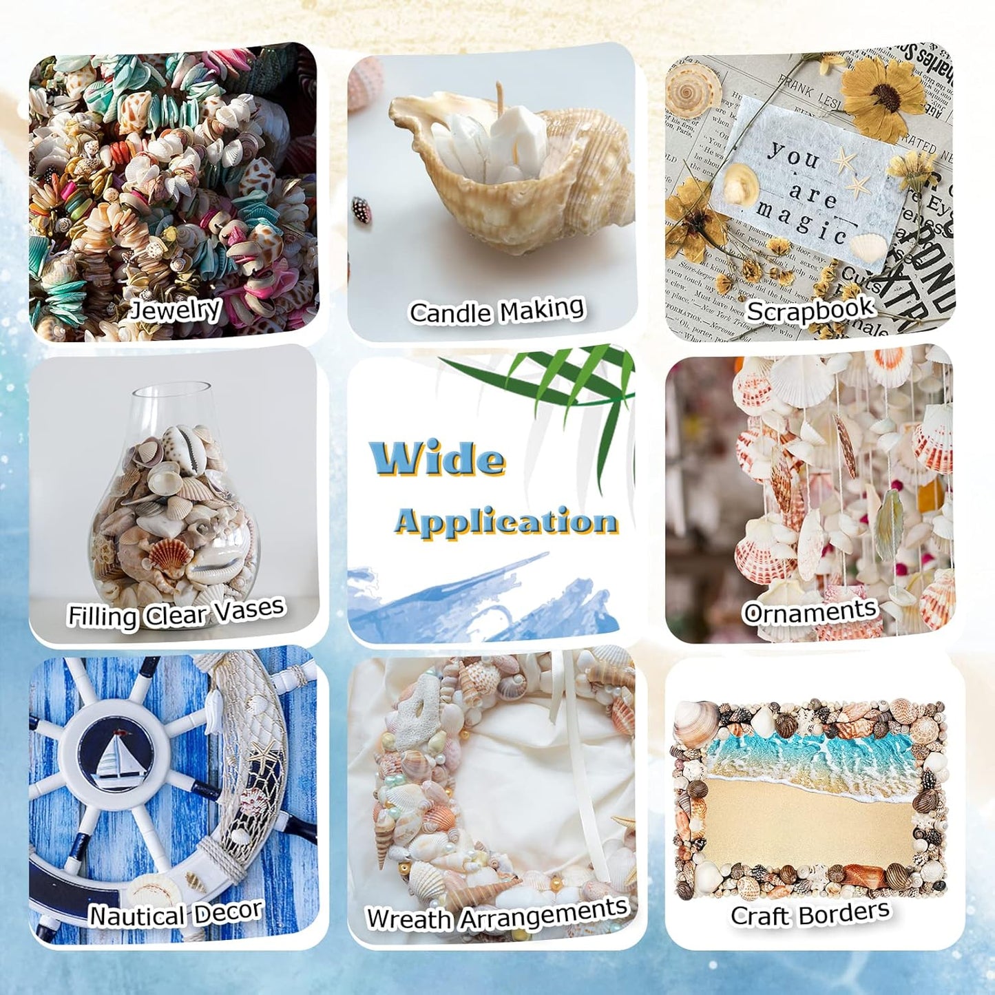 WFPLUS 200+pcs Mixed Sea Shells, Natural Seashells and Starfish for Fish Tank, Home Decorations, DIY Crafts