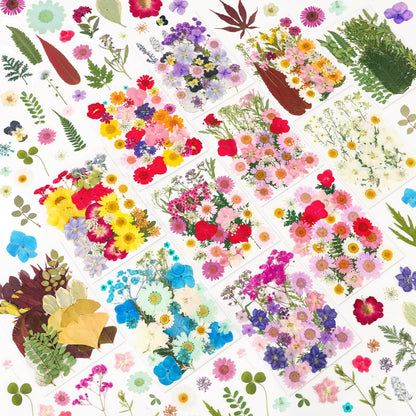 NESCCI 420 Pcs Dried Pressed Flowers for Resin,Real Nature Dried Flowers for Crafts Bulk Dry Flowers Leaves Kit Used for Resin Molds Scrapbooking DIY Art Crafts Candle Soap Making Nails Décor