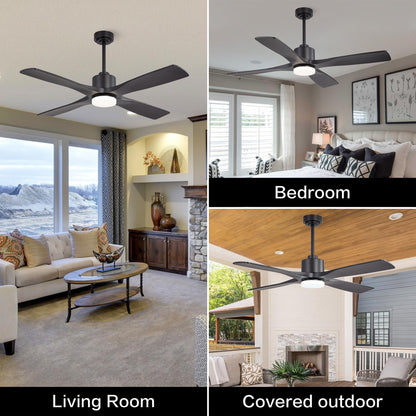 WINGBO 54 Inch DC Ceiling Fan with Lights and Remote Control, 4 Carved Solid Wood Blades, 6-Speed Noiseless Reversible DC Motor, Modern Ceiling Fan in Matte Black Finish with Black Blades