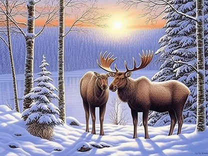 Diymood DIY 5D Diamond Painting by Number Kits, Diamond Painting Moose Winter Forest Paint with Diamonds Arts for Adults Full Drill Canvas Picture for Home Wall Decor 40x50cm(16x20inch)