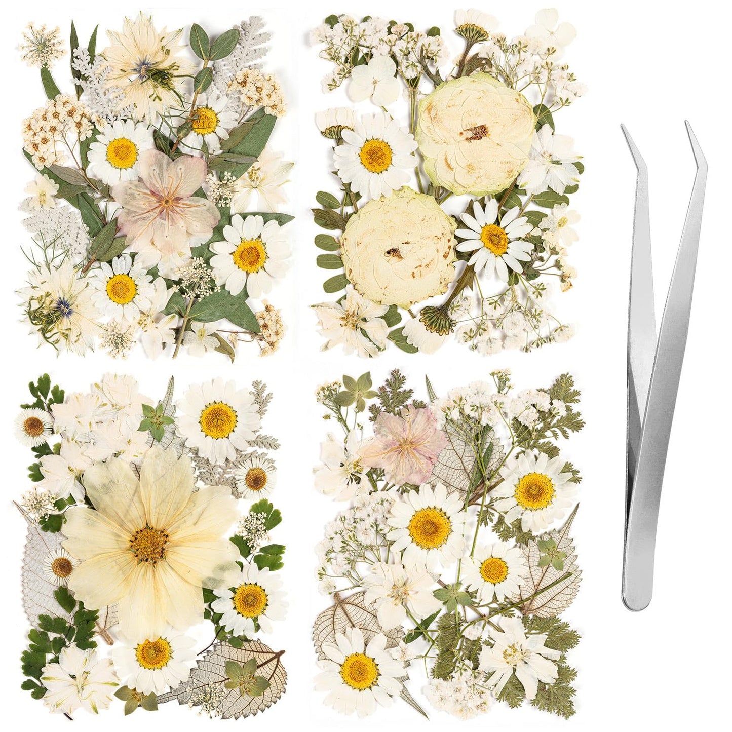 100pcs White and Light Yellow Dried Pressed Flowers Bulk, Natural Fall Pressed Dried Flowers with Tweezer for DIY Crafts Resin Mold Candles Cake Bridal Scrapbooking Supplies