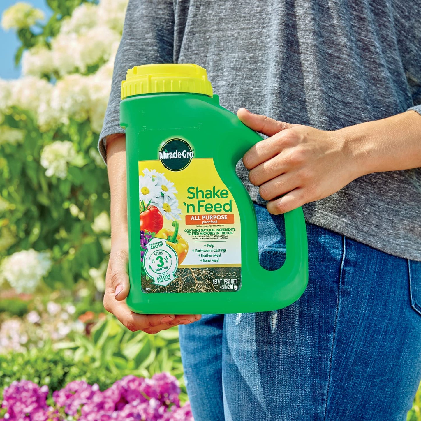 Miracle-Gro Shake 'N Feed All Purpose Plant Food - Nourishes Indoor & Outdoor Plants, 4.5 lbs.