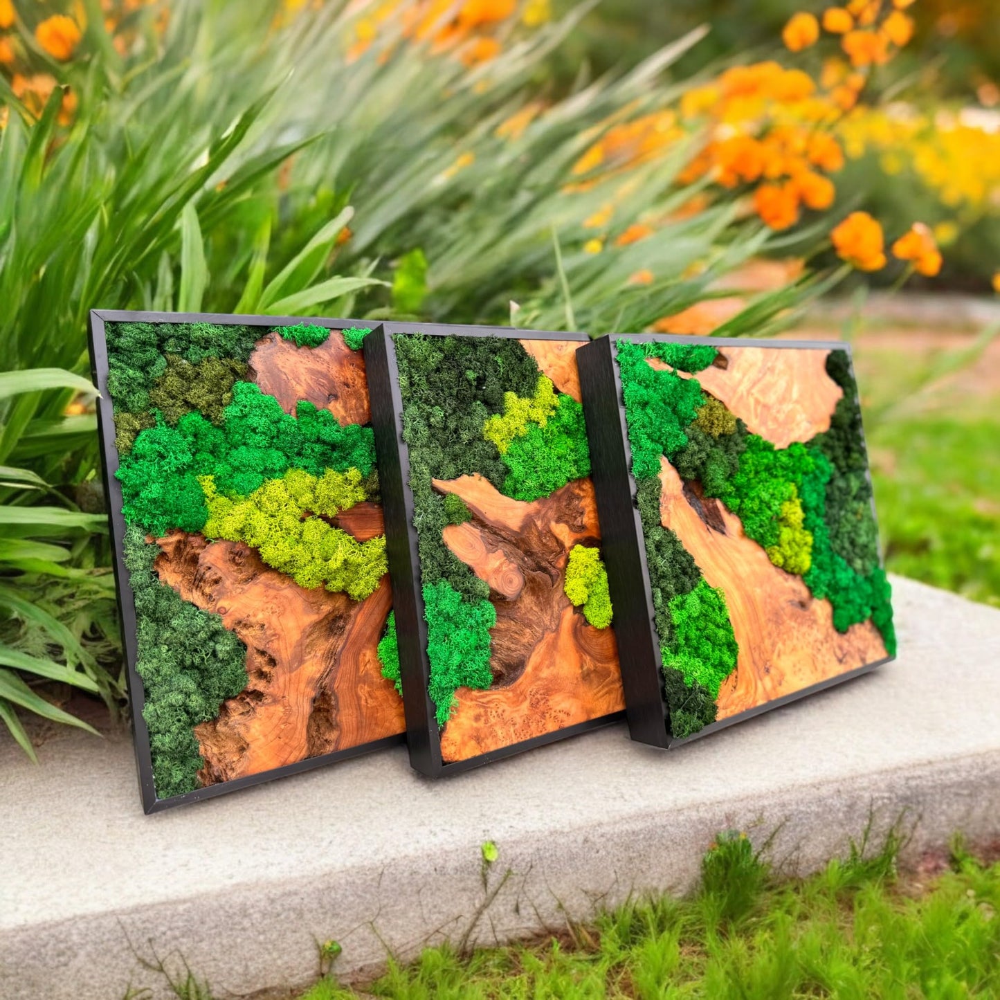 Serenzy 12" Square Cedar & Preserved Moss Wall Art | Unique No-Maintenance Decor for Home, Office, Restaurant, Natural Scattered Wood