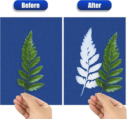 LIGHOON 60 PCS Cyanotype Sun Print Kit, A5 Sensitive Solar Art Paper Kit with 20 Pcs Leaf Sticker for DIY Arts Crafts Projects
