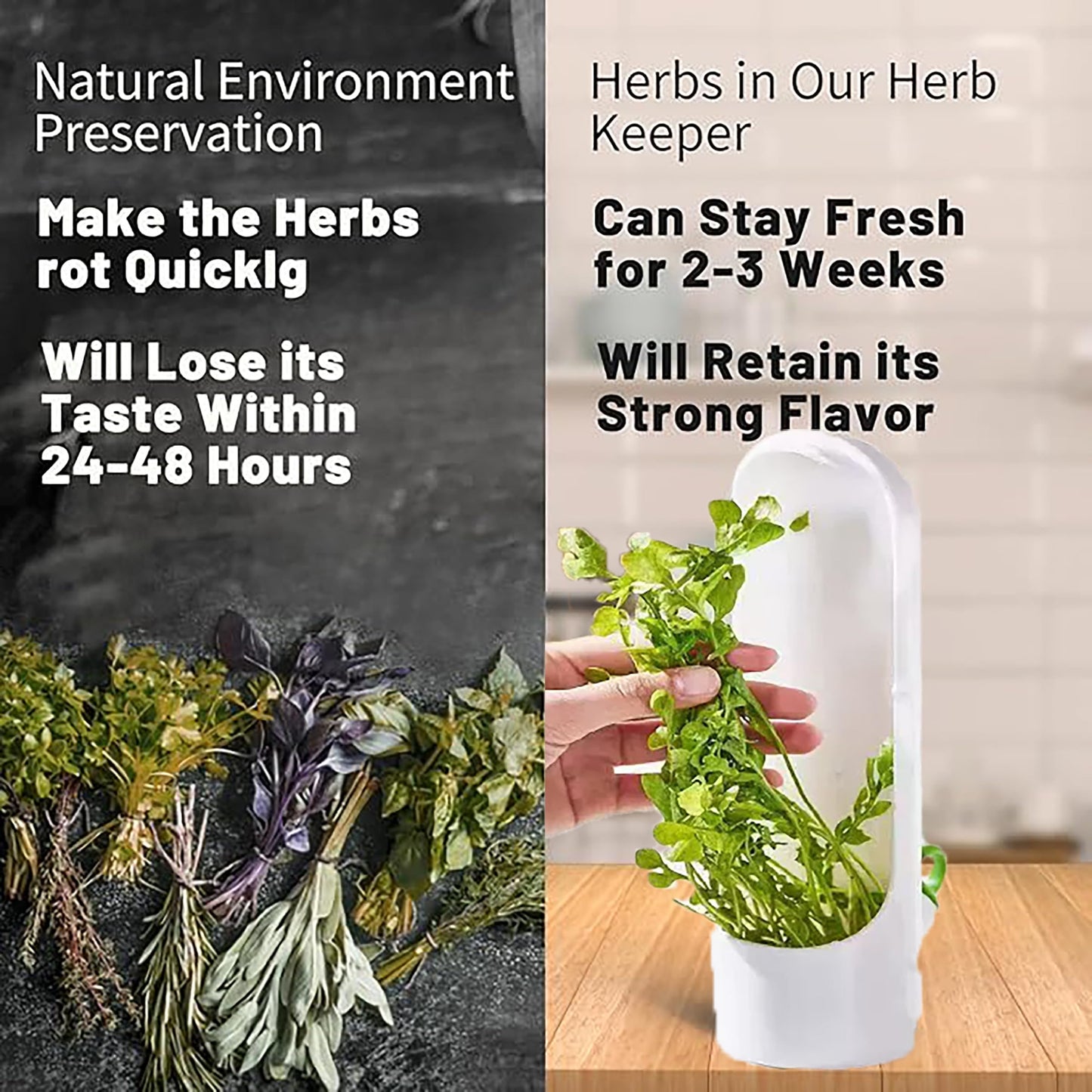 Ristpal 3Pack Herb Saver for Refrigerator for Cilantro, Parsley, Asparagus, Mint,Vegetable Preservation Containers, Keeps Greens Vegetables for 2-3 Weeks