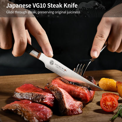 Steak Knives Set of 4, 5 inch Handcrafted Japanese VG10 Steel Kitchen Steak Knives, Non Serrated Meat Knife with Ergonomic Stabilized Wood Handle & Luxurious Wood Box, Cooking Gifts for Men Women