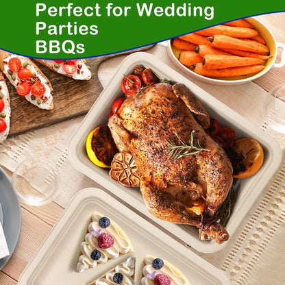 EcoAvance Large Paper Plates 14 Inch, 100 Pack Disposable Trays, Heavy Duty Dinner Size, Eco-Friendly Compostable Biodegradable, Strong Sturdy Brown