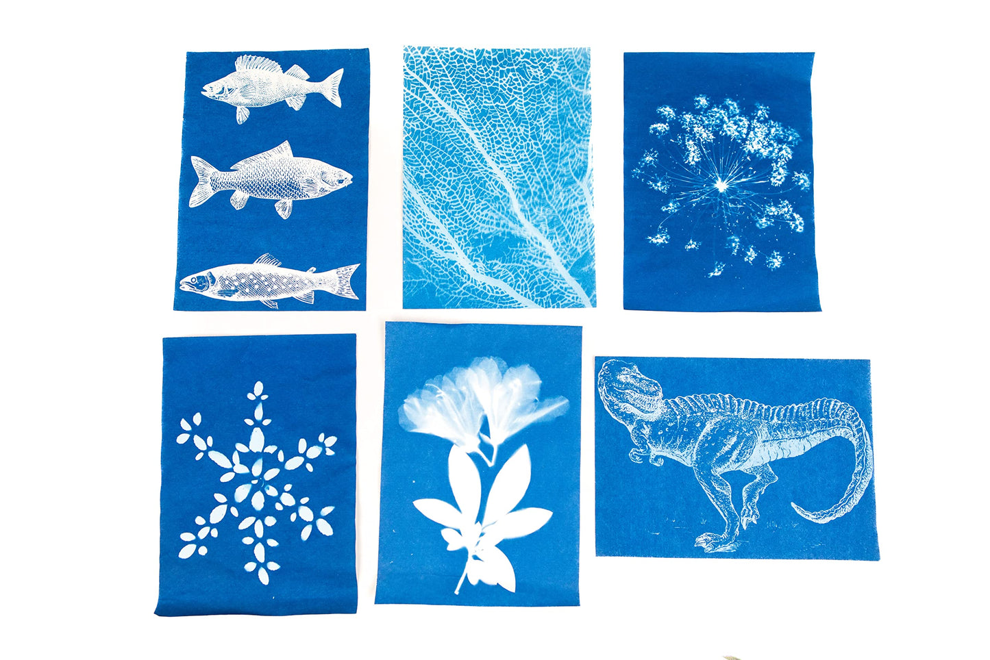 Nature Print Paper - NPP40 Sun Activated, 5 x 7 Inches, Pack of 40 - 1006385