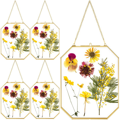 Vicenpal 5 Pcs 8 x 10 Inches Glass Pressed Flower Frame, Hanging Floating Picture Frame for Tabletop Artwork Dried Flower Display with Metal Chain for Mom Friends Wedding Gift DIY Craft(Coppery)