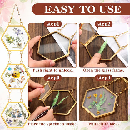 Marsui 3 Set Double Glass Frame Collage For Pressed Flowers with 9 Pcs 4 x 3 Inch Openings Gold Hanging Glass Floating Photo Frames for Artwork Display Photo Modern Home Wall Decor