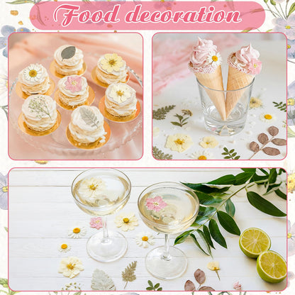 Maasechs 96 Pcs Natural Dried Pressed Flowers for Cake Topper Decorating Cupcake Toppers Cocktails Resin Jewelry Making DIY Art Crafts