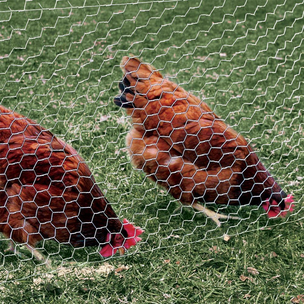 1 36 50 20Gauge YARDGARD in. Twisted Mesh Wire Fence in. x ft. Galvanized Steel for Chicken Coops | Garden Protection |
