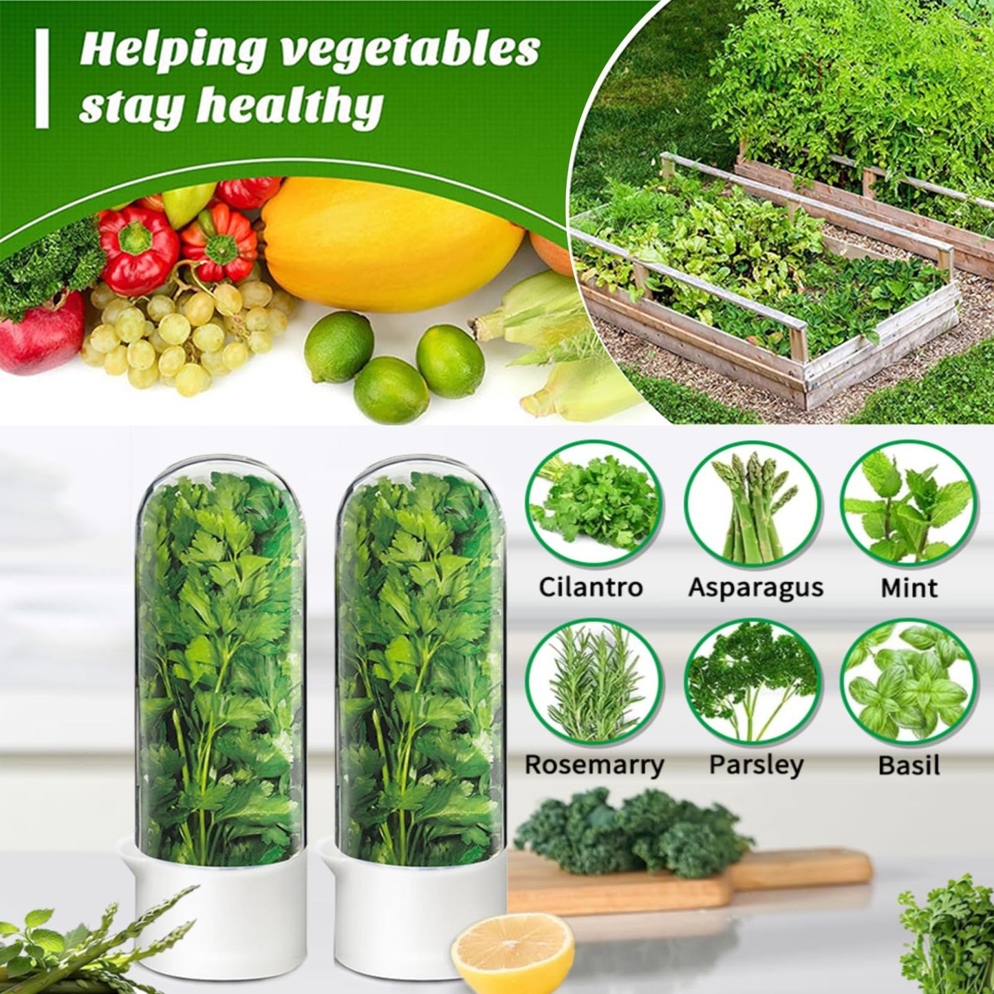 Minkeytal Herb Saver for Refrigerator - Herb Keeper & Cilantro Container for Fridge | Vegetable Preservation Storage Container for Cilantro, Basil, Asparagus | Extends Freshness Up to 2-3 Weeks