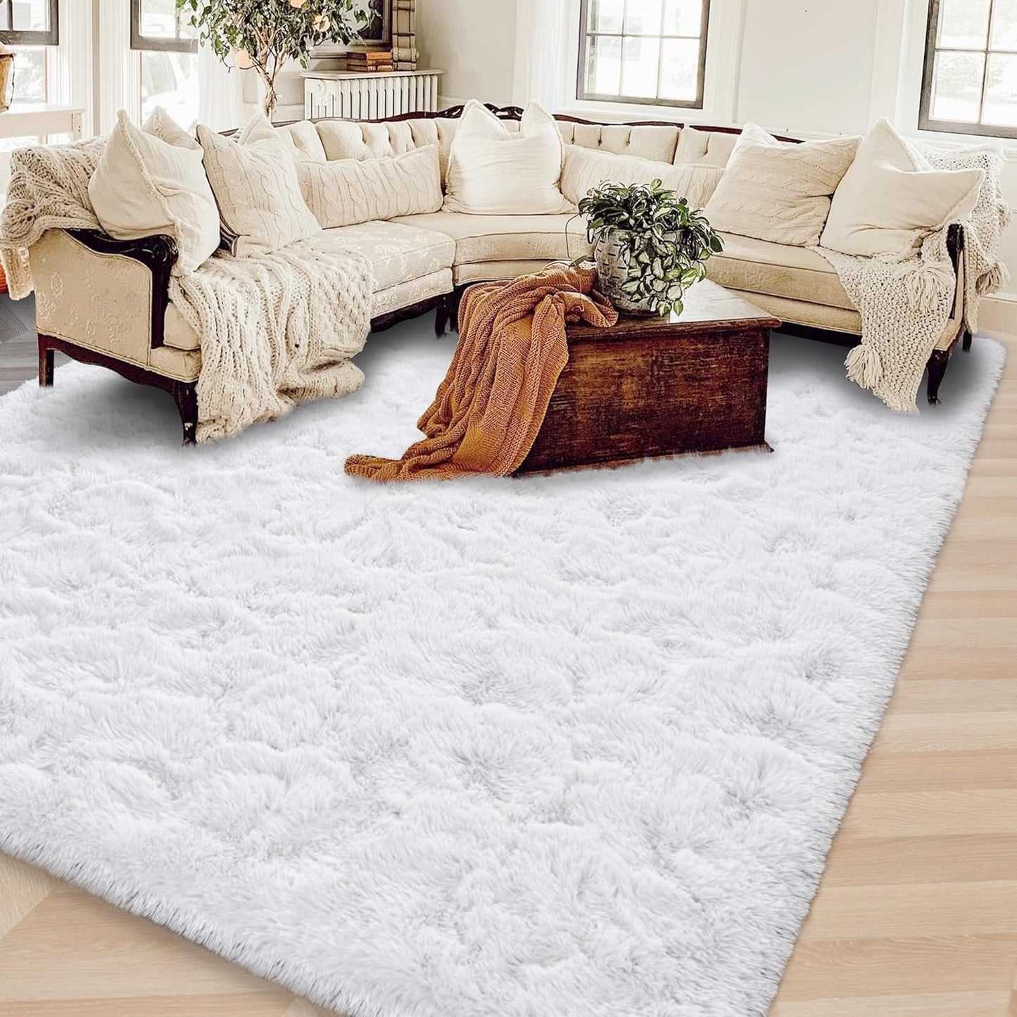 ISEAU Super Soft Fluffy Rugs Shag Area Rug for Bedroom Living Room Fuzzy Mat Plush Anti-Slip Carpets (3ft x 5ft, White)