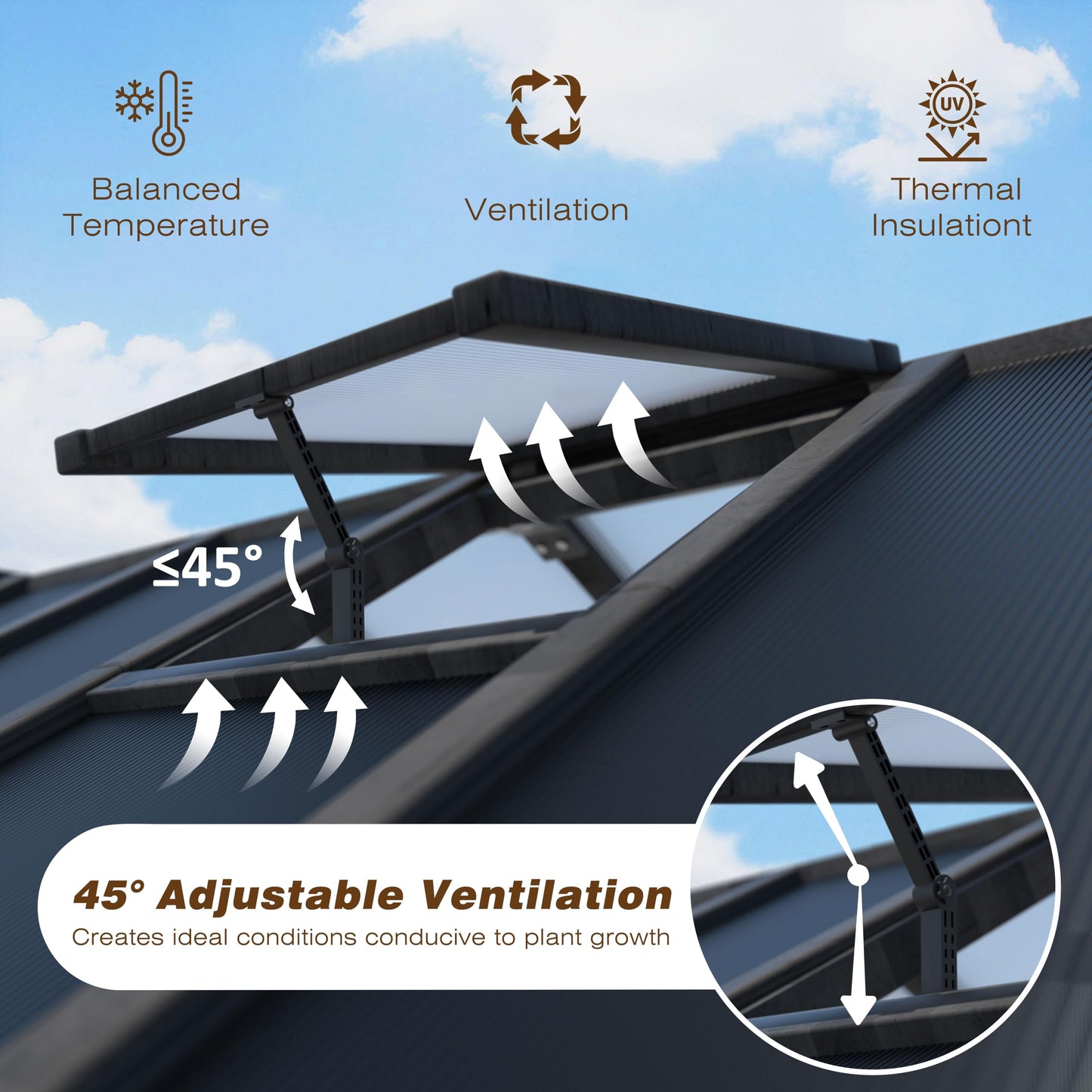 Yardenaler 8x10 FT Greenhouse Kit with 6MM Thick Polycarbonate Panel for Outdoor, Wooden Walk-in Green House with Adjustable Roof Vent and Lockable Door, Backyard, Garden, Black