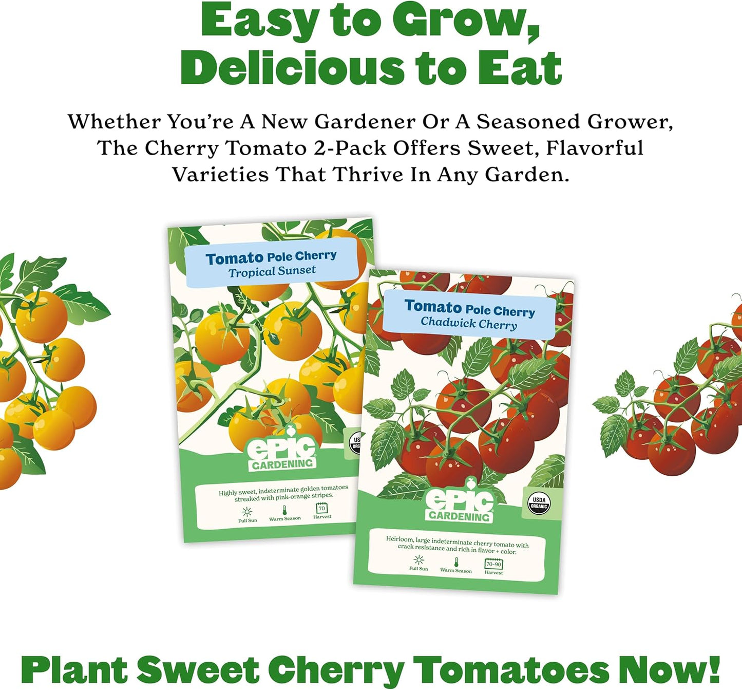 2 Sunset Epic Gardening Cherry Tomato Seed Bundle - Sweet & Juicy Varieties, Includes Tropical & Chadwick Cherry