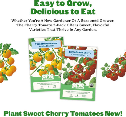 2 Sunset Epic Gardening Cherry Tomato Seed Bundle - Sweet & Juicy Varieties, Includes Tropical & Chadwick Cherry