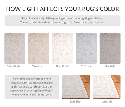 SAFAVIEH Area Rug 10x14 - Reflection Collection - Large - Cream & Ivory, Non-Shedding & Easy Cleaning, Ideal for Living Room, Bedroom (RFT665D)